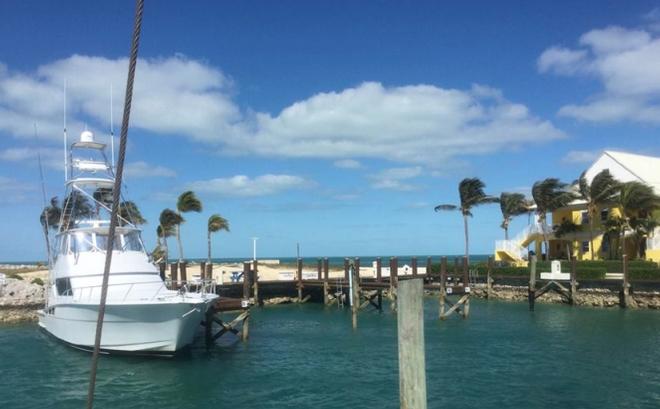 Blowing dogs off chains in West End. Bahamas © SV Taipan